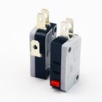 Microswitch grande x 2 u/n.